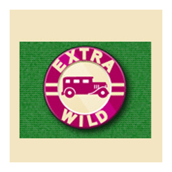 Billyonaire Wild symbol #14