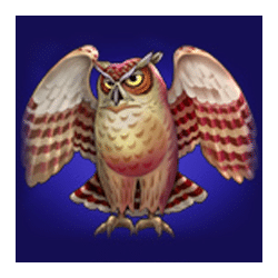 Book Of Fortune symbol #5