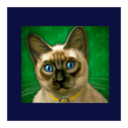 Diamond Cats symbol #7