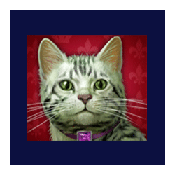 Diamond Cats symbol #6