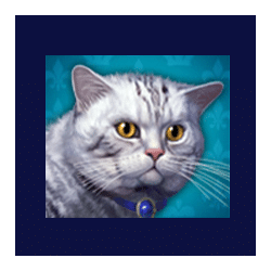 Diamond Cats symbol #8