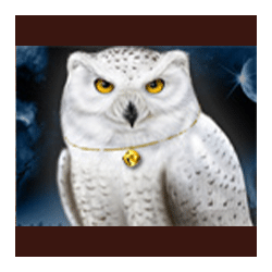 Magic Owl symbol #3