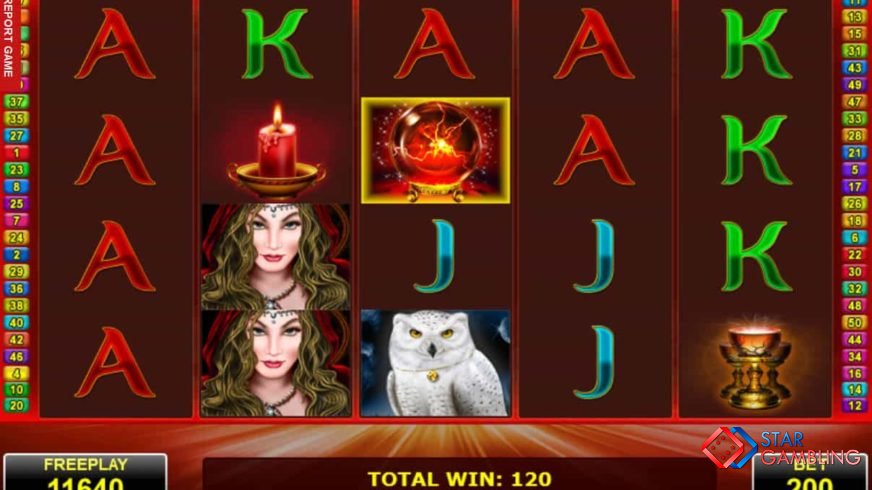 Magic Owl screenshot #1