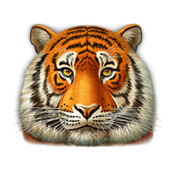 Super Cats symbol #3