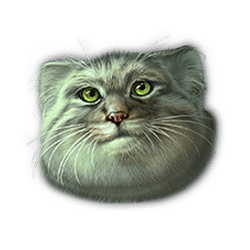 Super Cats symbol #8