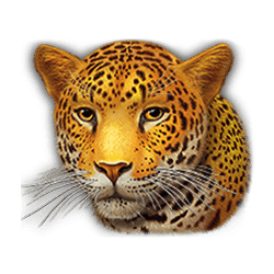 Super Cats symbol #5
