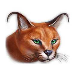 Super Cats symbol #7