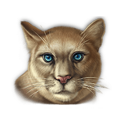 Super Cats symbol #6