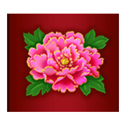 Wild Dragon symbol #8