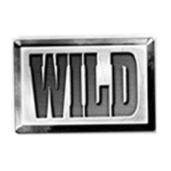 Wild Fruits Wild symbol #13