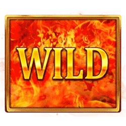 Burning Sun™ Wild symbol #12