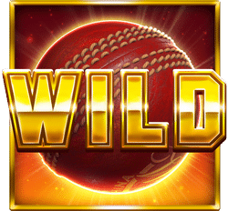 Cricket Heroes Wild symbol #1