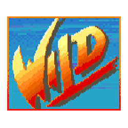 Street Fighter II: The World Warrior Wild symbol #4