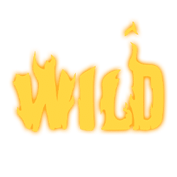 The Wish Master Wild symbol #9