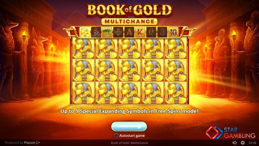 Book of Gold Multichance screenshot #3