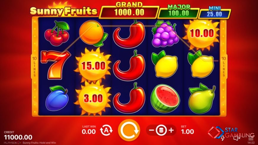 Sunny Fruits: Hold and Win screenshot #1