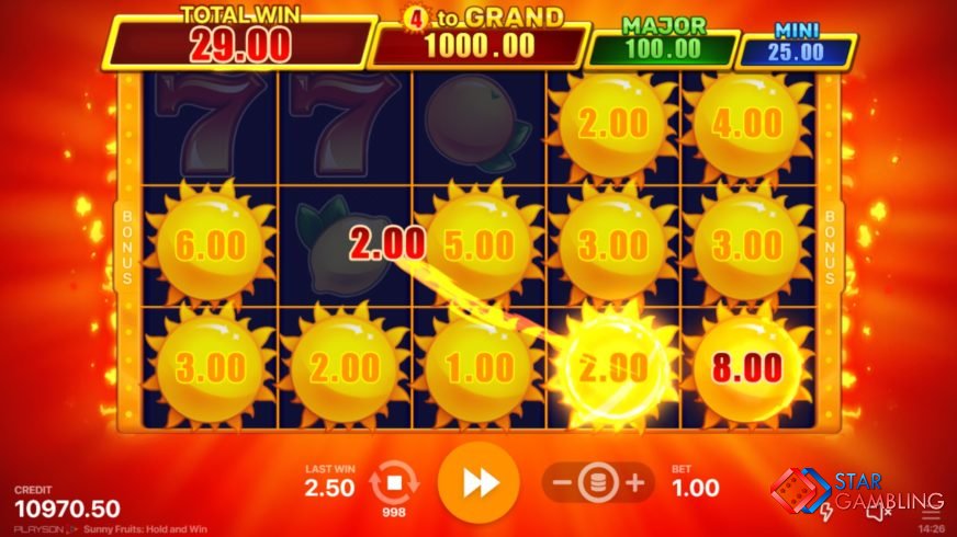 Sunny Fruits: Hold and Win screenshot #4