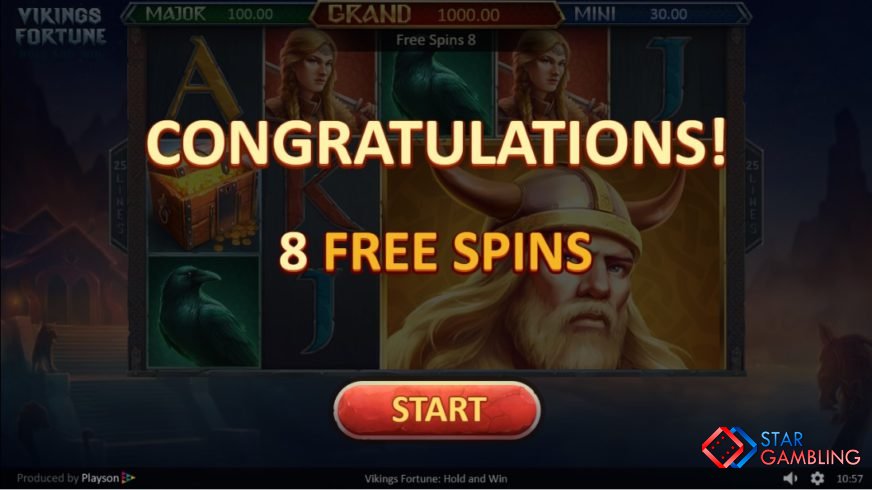 Vikings Fortune: Hold and Win screenshot #4