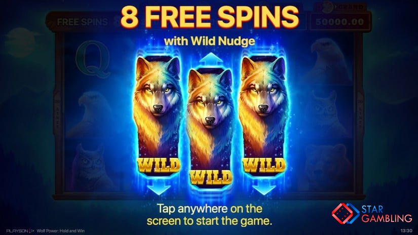 Wolf Power: Hold and Win screenshot #7