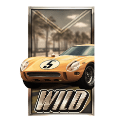 24 Hour Grand Prix Wild symbol #2