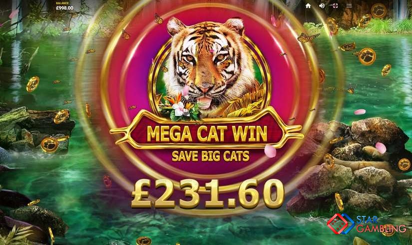 Big Cat Rescue MegaWays™ screenshot #6