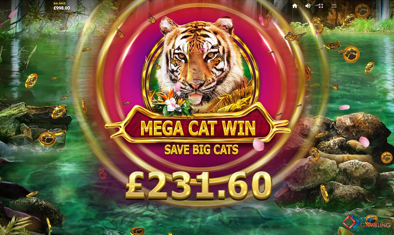 Big Cat Rescue MegaWays™ screenshot #3
