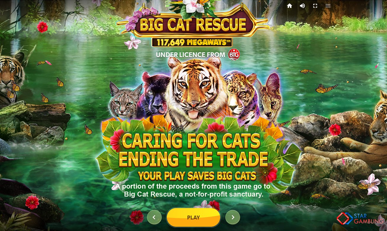 Big Cat Rescue MegaWays™ screenshot #1