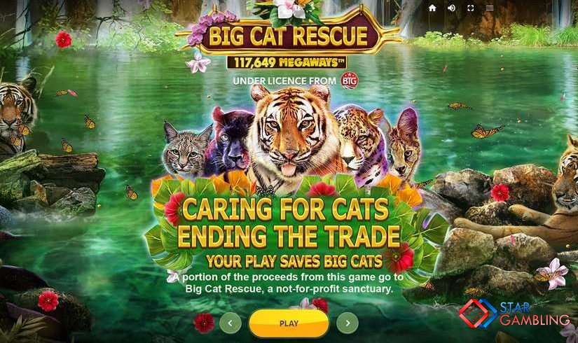 Big Cat Rescue MegaWays™ screenshot #4
