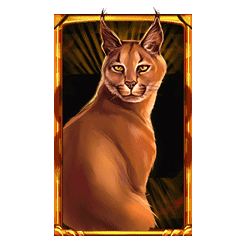 Wild Cats Multiline symbol #5