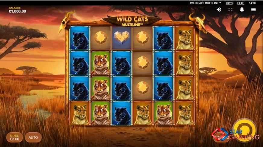 Wild Cats Multiline screenshot #4