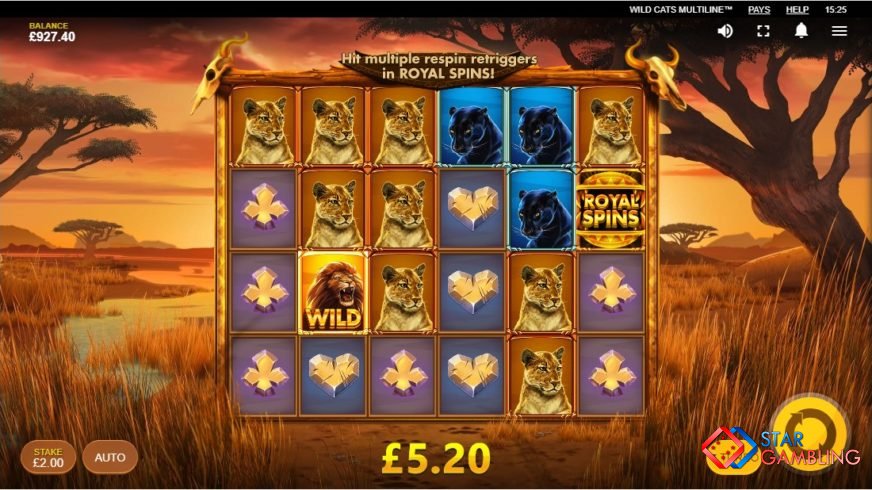 Wild Cats Multiline screenshot #6