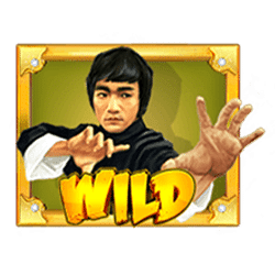 Wild Fight Wild symbol #1