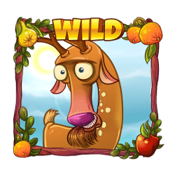 Seasons Wild symbol #11