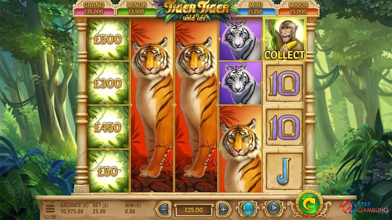 Tiger Tiger Wild Life screenshot #4