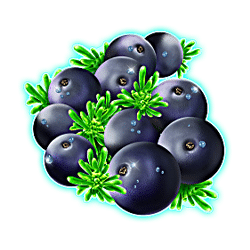 Winterberries symbol #6