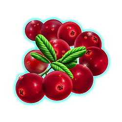 Winterberries symbol #5