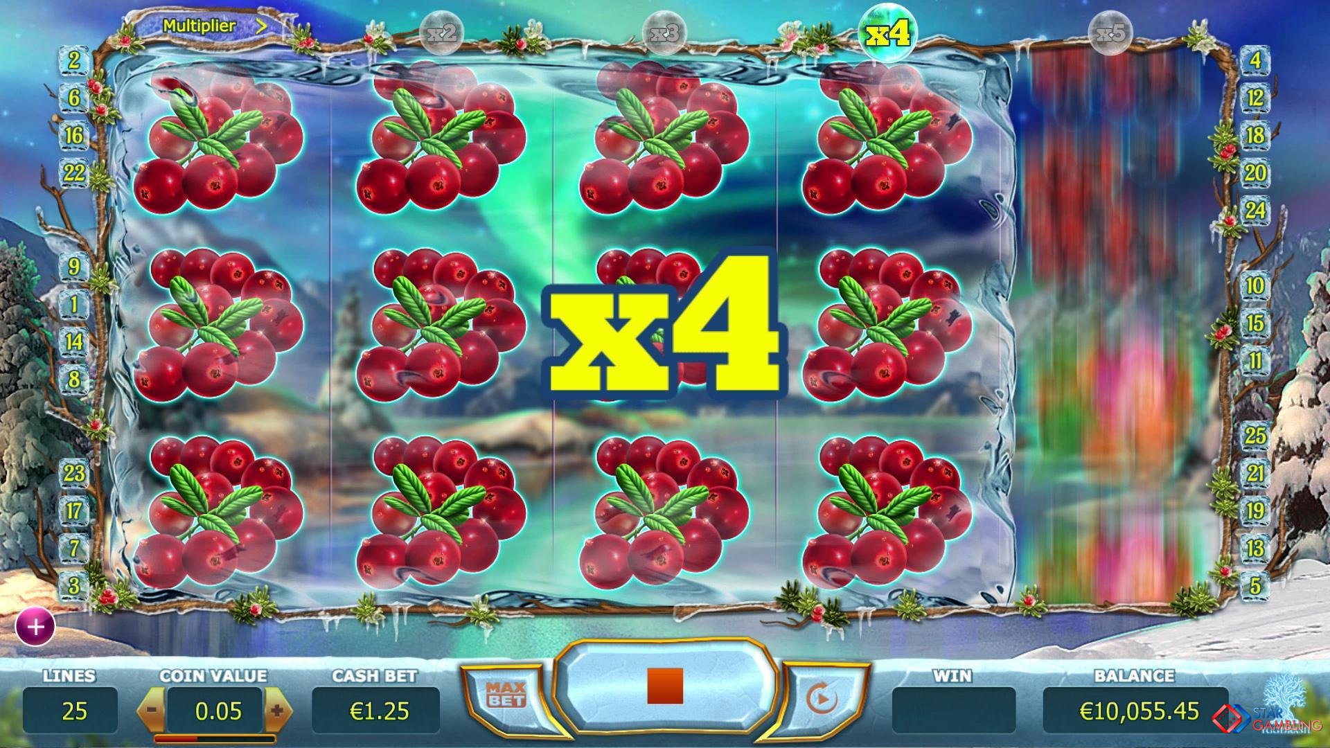 Winterberries screenshot #2