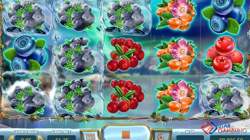 Winterberries screenshot #4